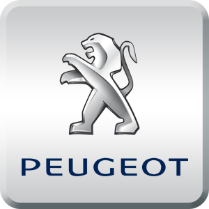 evren-sanayi-sitesi-gezer-oto-servis-peugeot